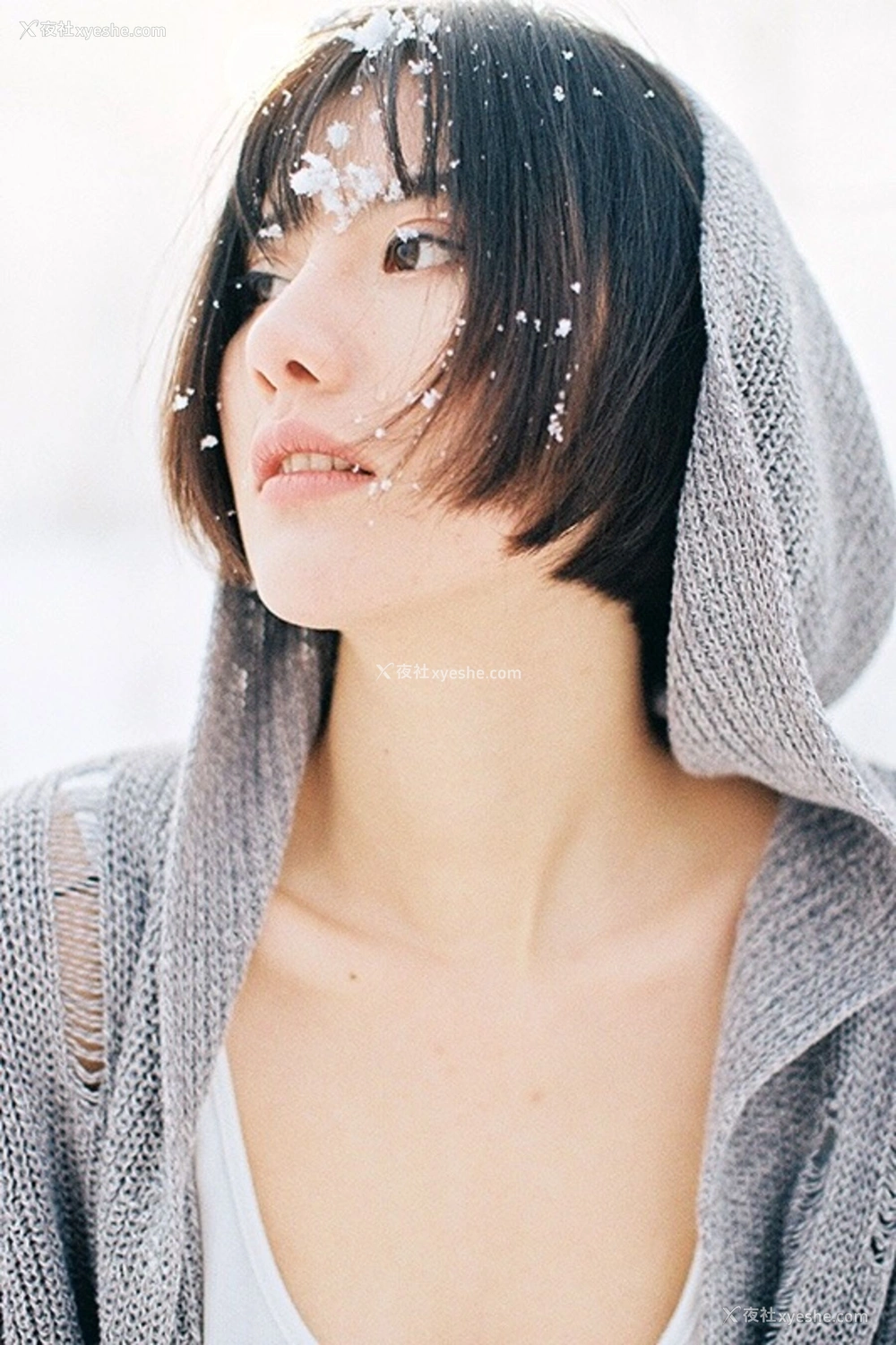 1P - 就是阿朱啊《tumblr 散图》