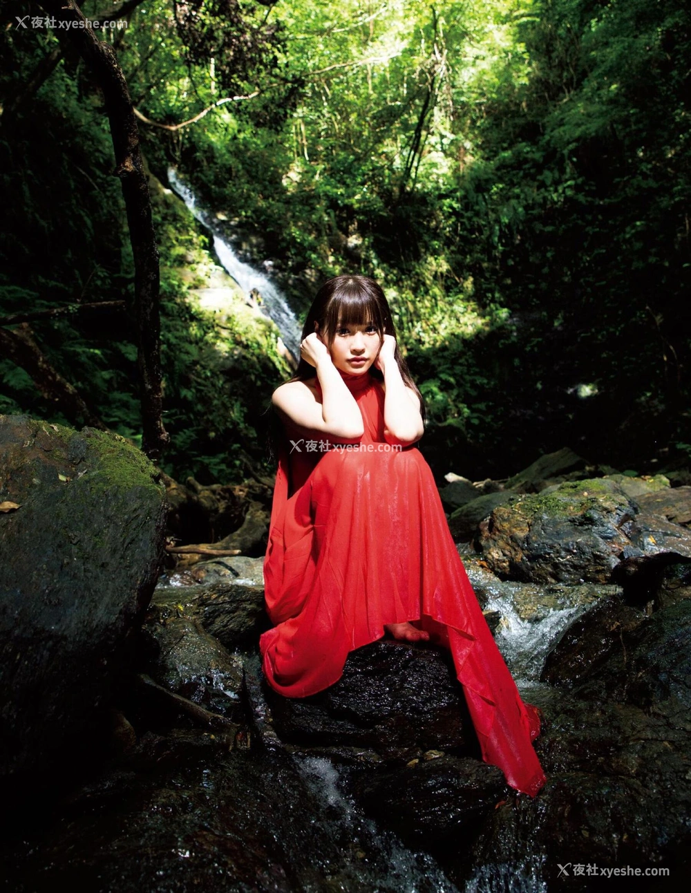 1P - 桥本有菜《Arina》
