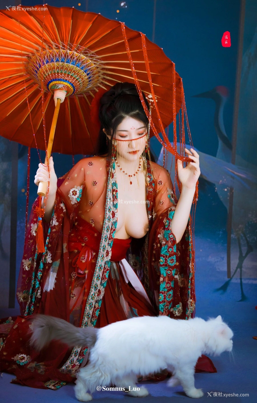 1P - 摄影师清池作品集 Vol.013