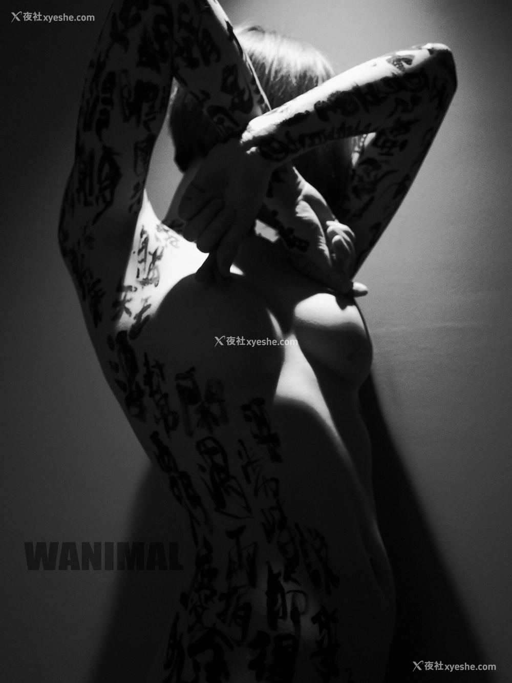 1P - 王动WANIMAL 作品集
