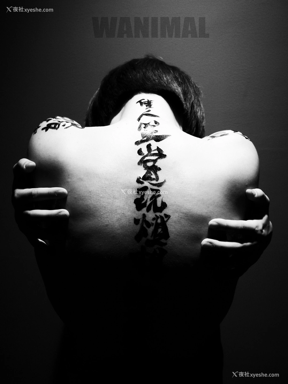 1P - 王动WANIMAL 作品集