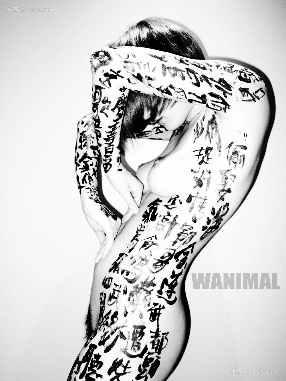 1P - 王动WANIMAL 作品集