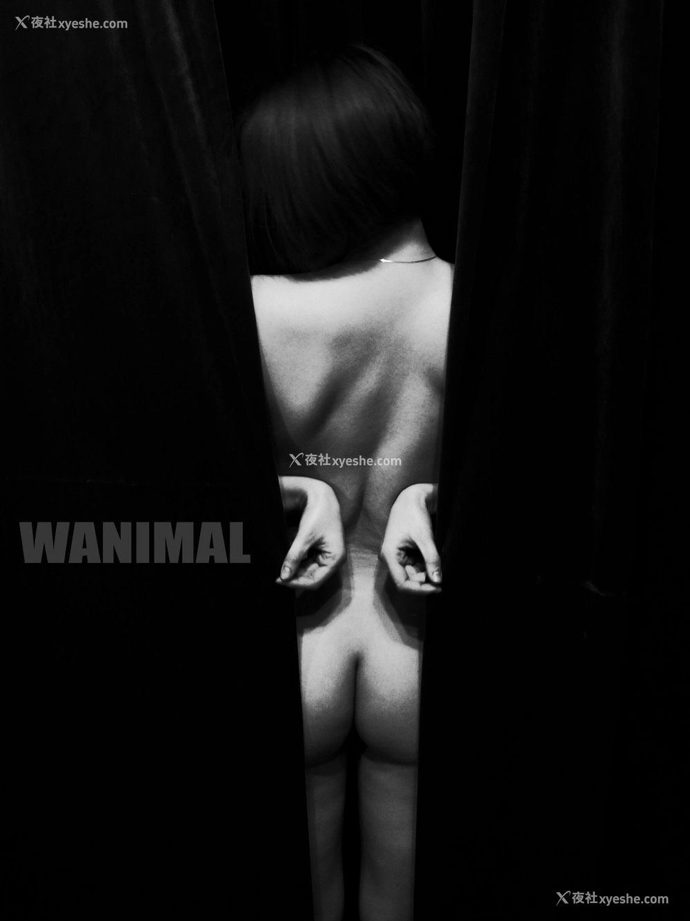 1P - 王动WANIMAL 作品集