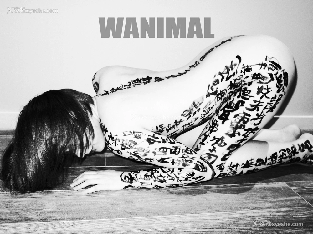 1P - 王动WANIMAL 作品集