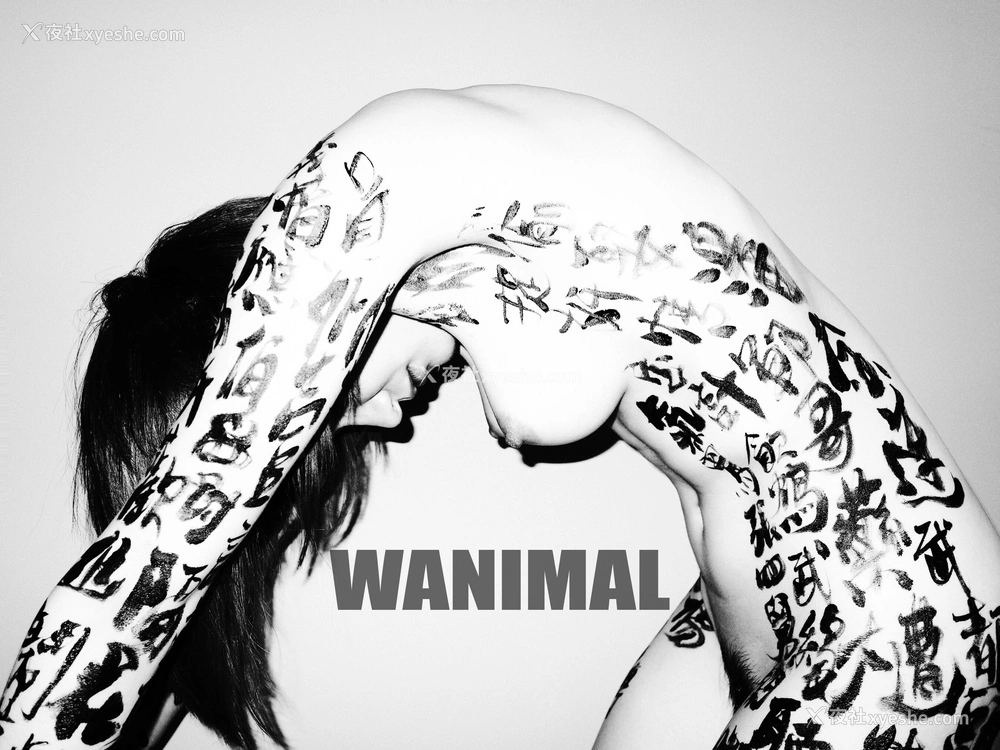 1P - 王动WANIMAL 作品集