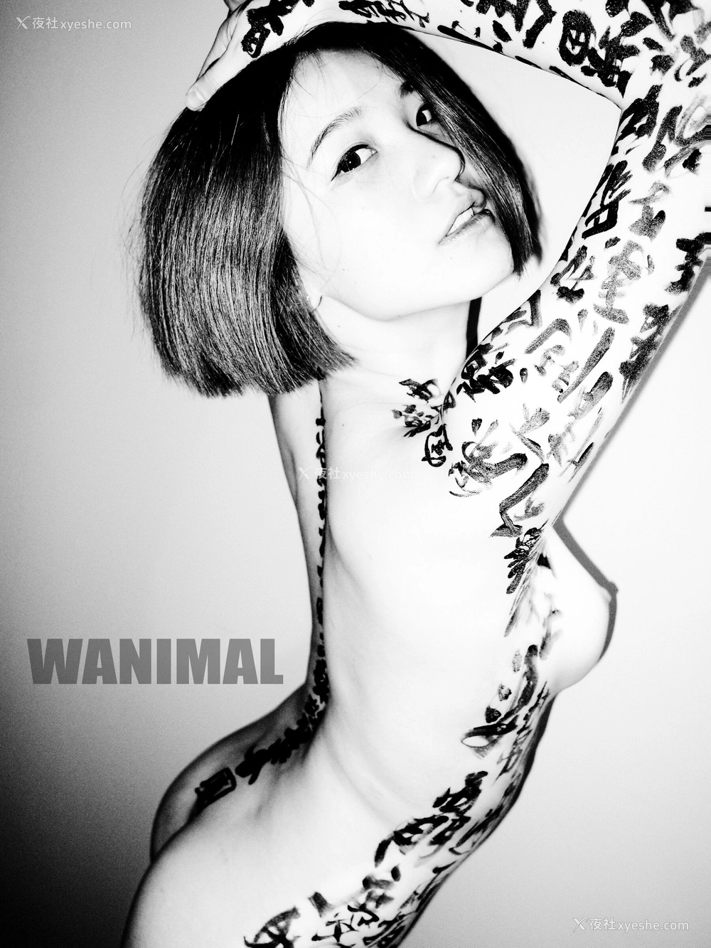 1P - 王动WANIMAL 作品集