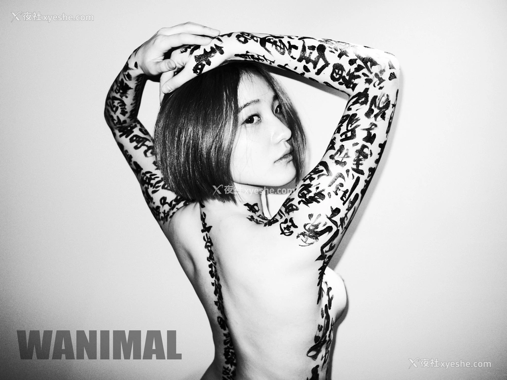 1P - 王动WANIMAL 作品集