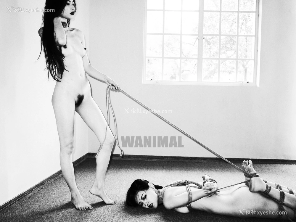 1P - 王动WANIMAL 作品集