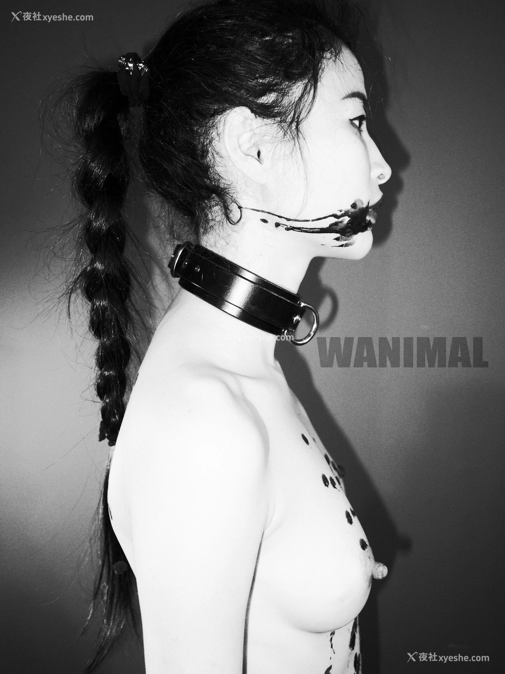 1P - 王动WANIMAL 作品集