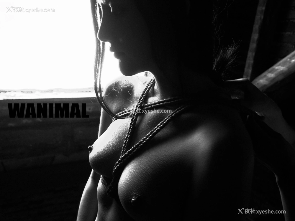 1P - 王动WANIMAL 作品集