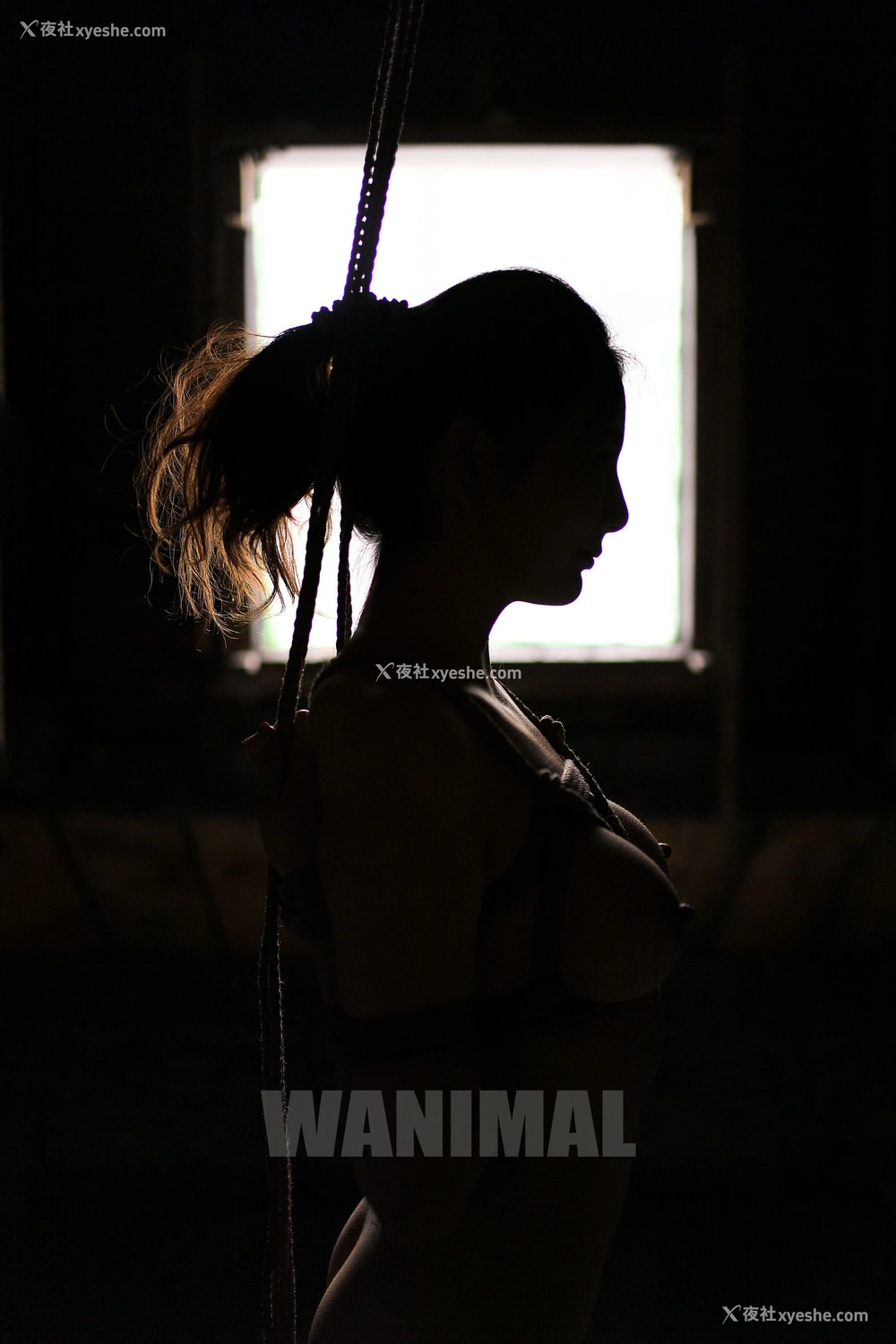 1P - 王动WANIMAL 作品集