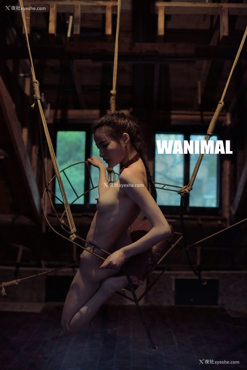 1P - 王动WANIMAL 作品集