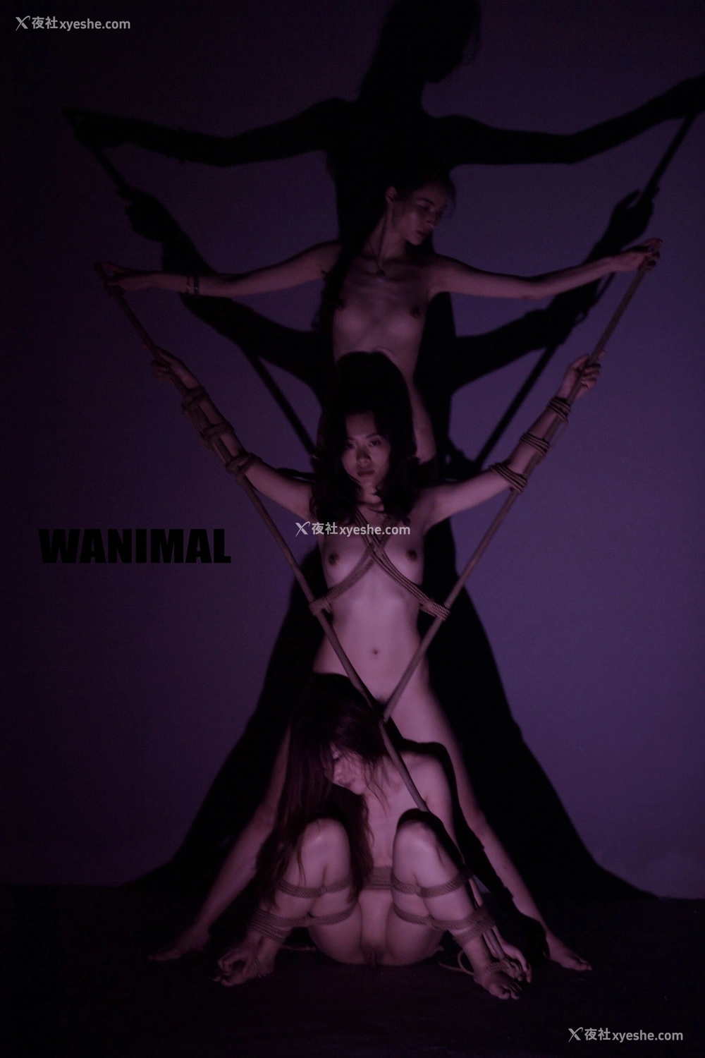 1P - 王动WANIMAL 作品集