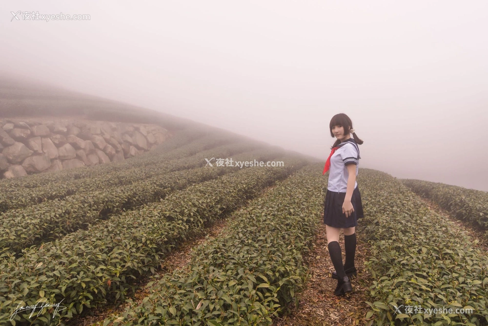 1P - 小丁Ding《欲茶园》