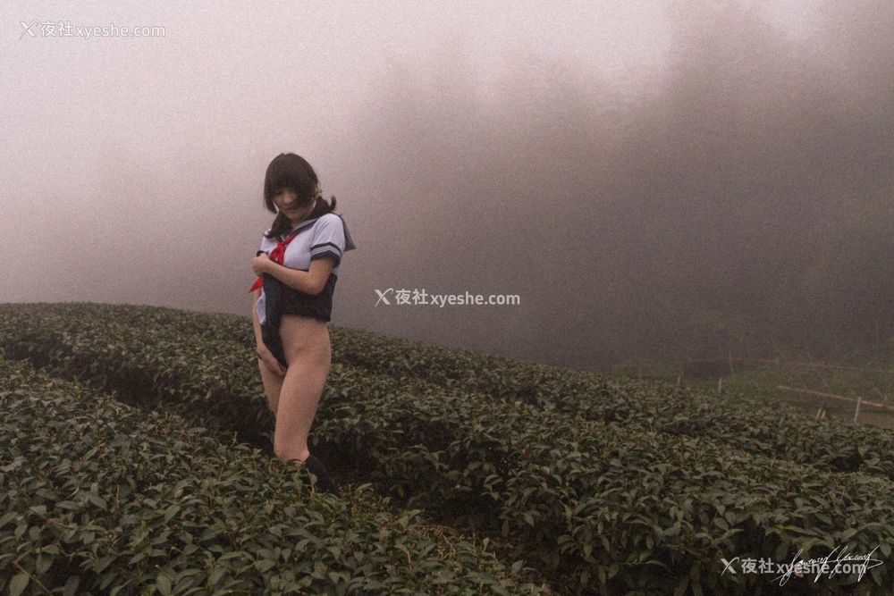 1P - 小丁Ding《欲茶园》