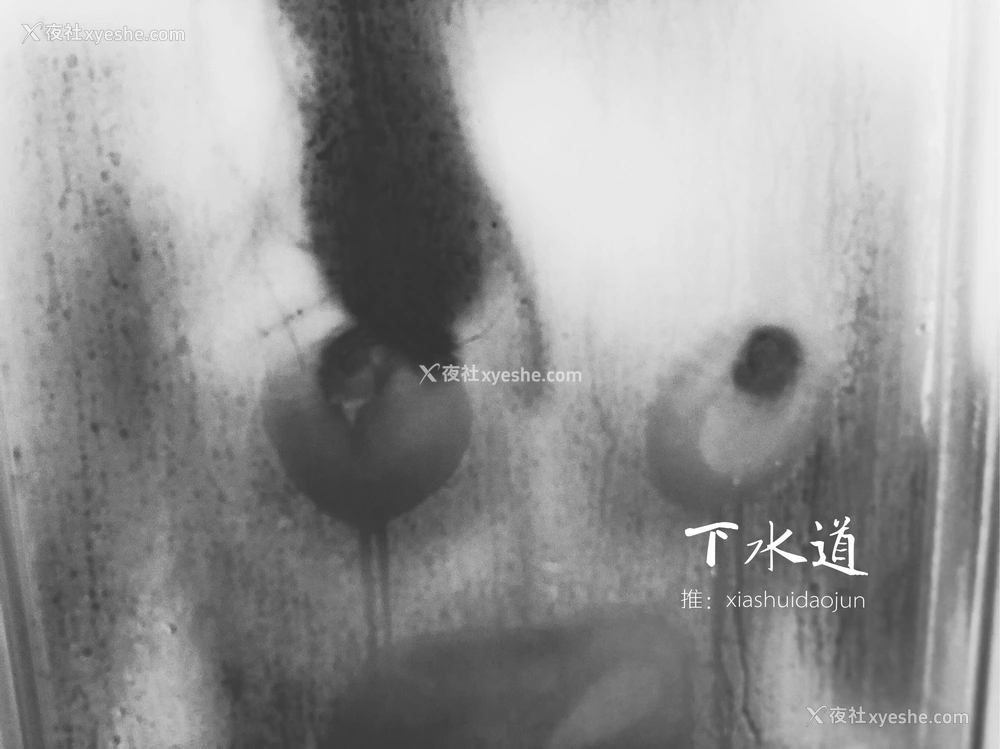 1P - 摄影师下水道作品：婕哥