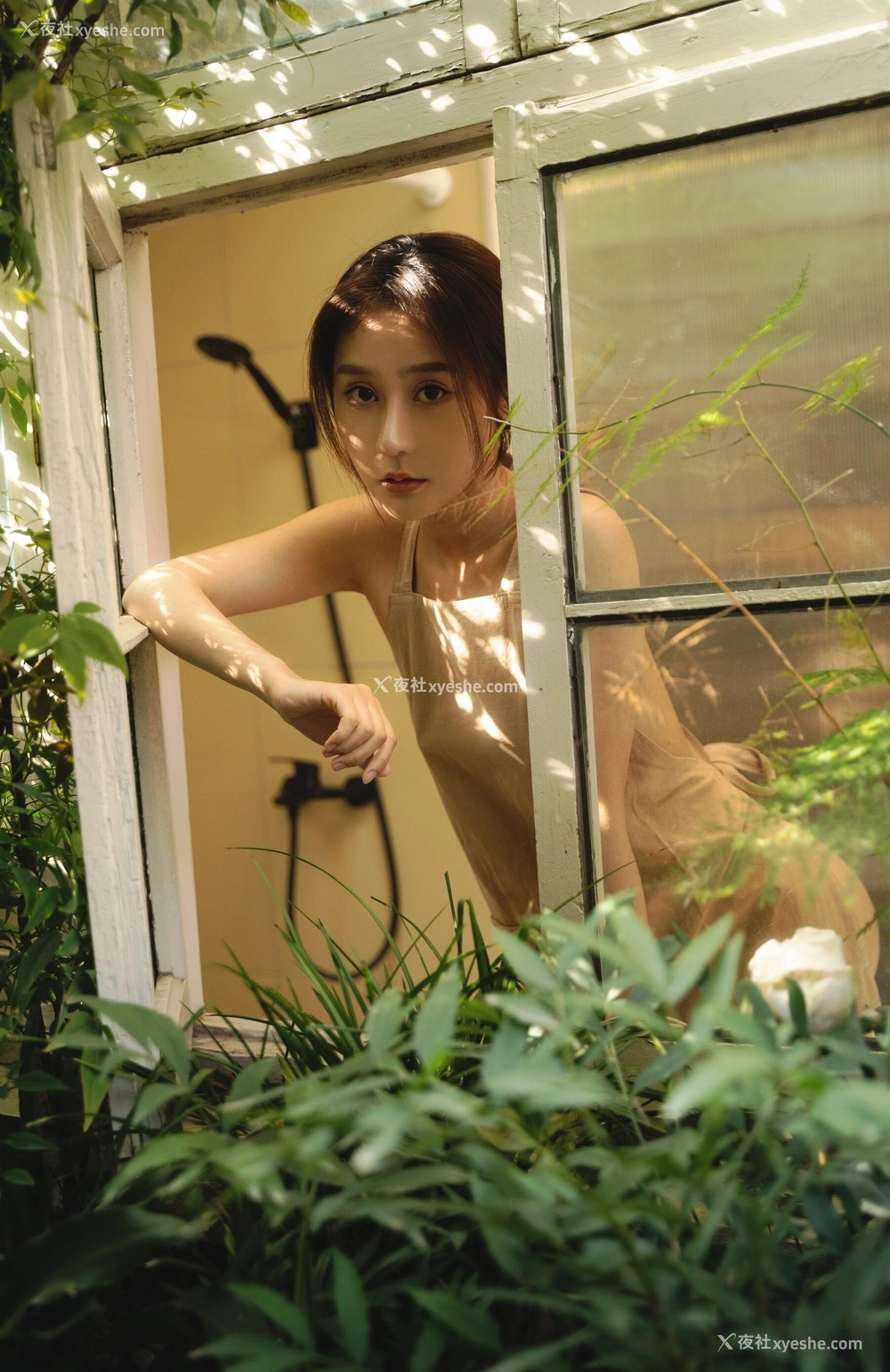 1P - 夕颜《花园围裙》