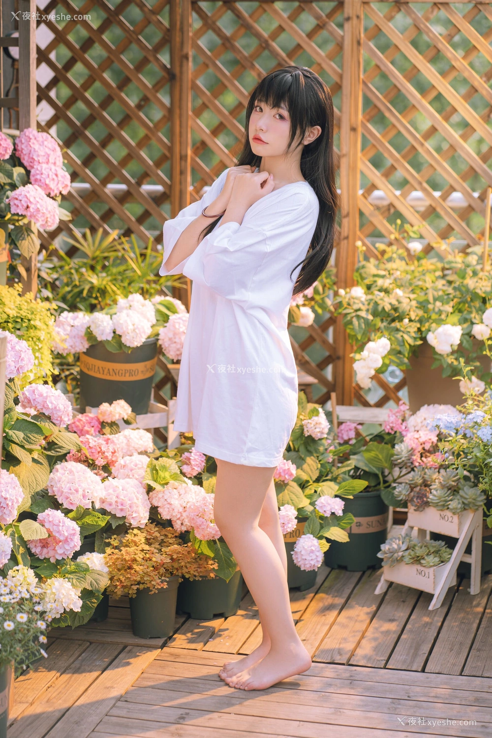 1P - 喵小吉《小吉的午后时光》