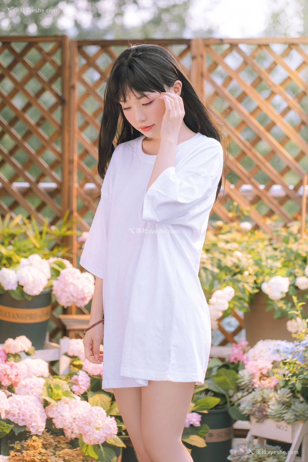 1P - 喵小吉《小吉的午后时光》