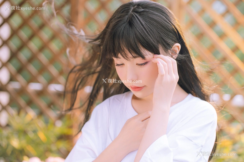 1P - 喵小吉《小吉的午后时光》