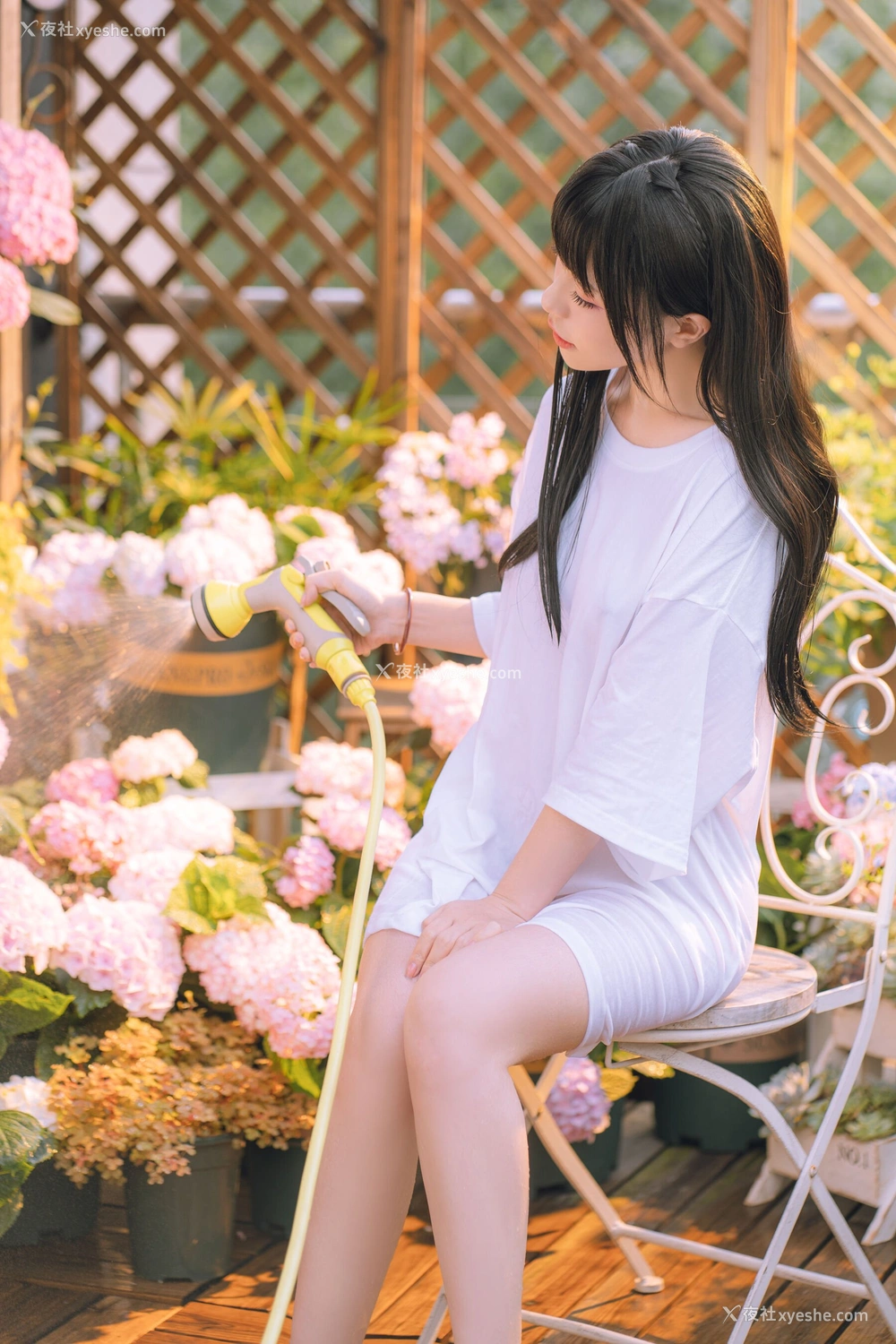 1P - 喵小吉《小吉的午后时光》