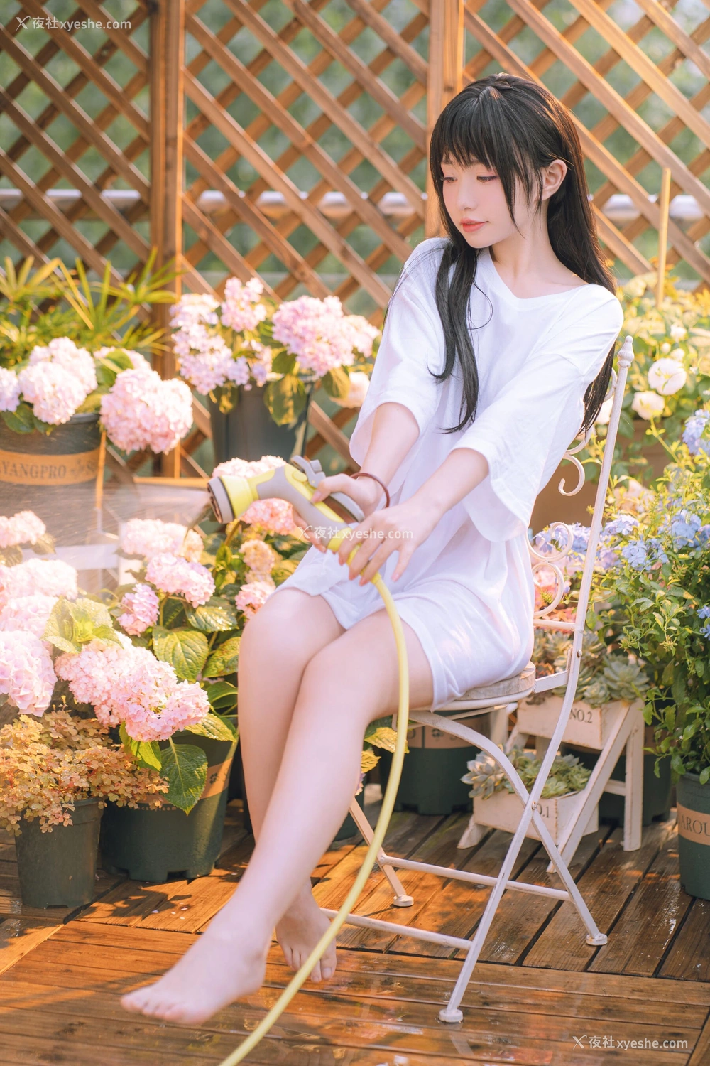 1P - 喵小吉《小吉的午后时光》