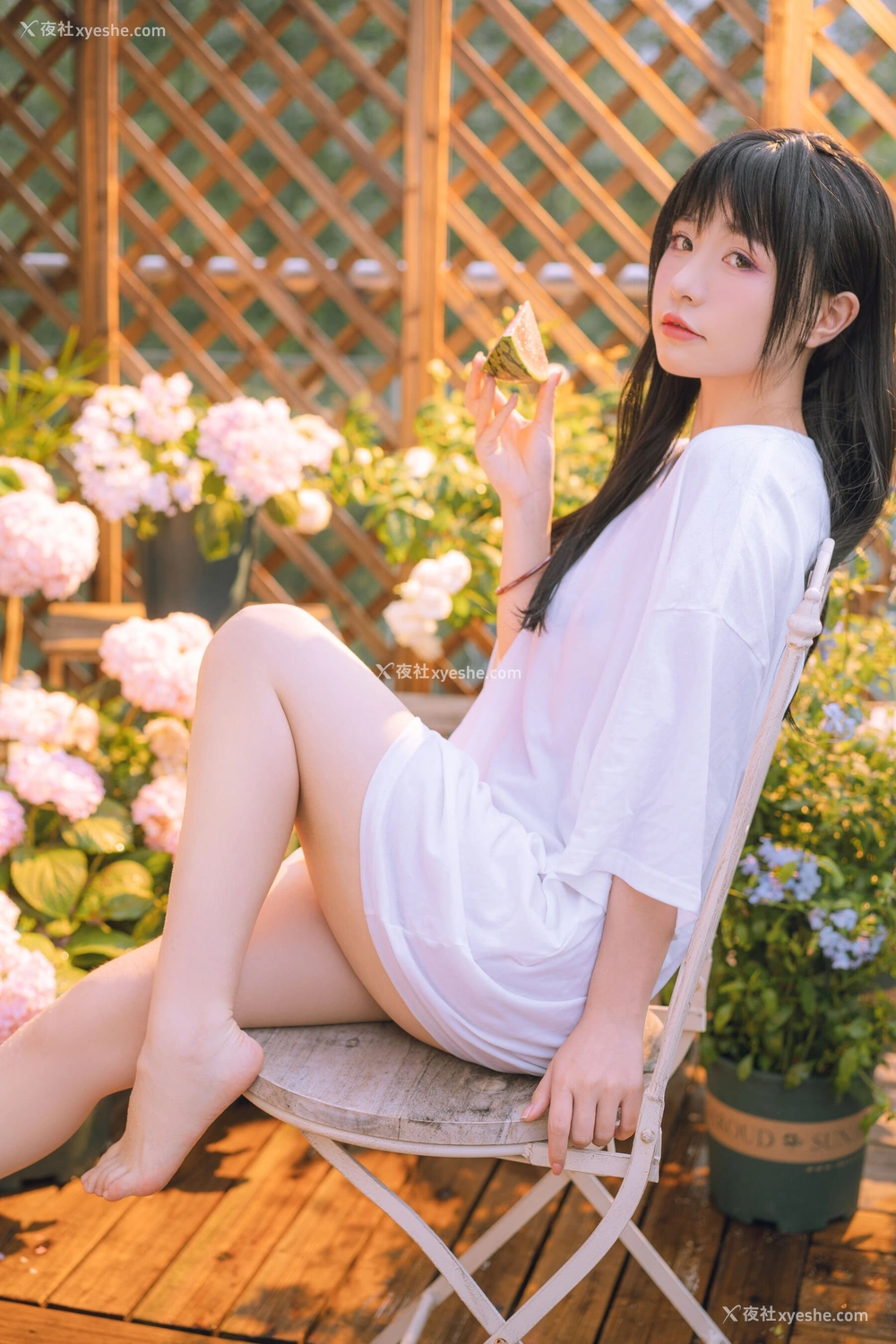 1P - 喵小吉《小吉的午后时光》