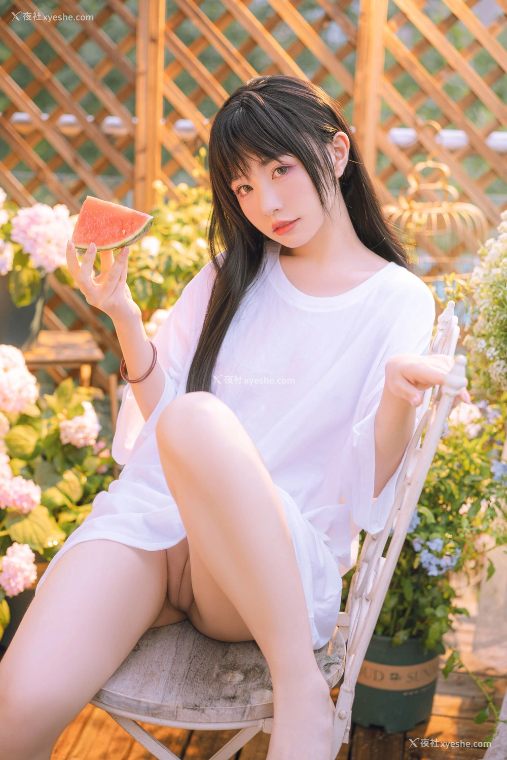 1P - 喵小吉《小吉的午后时光》