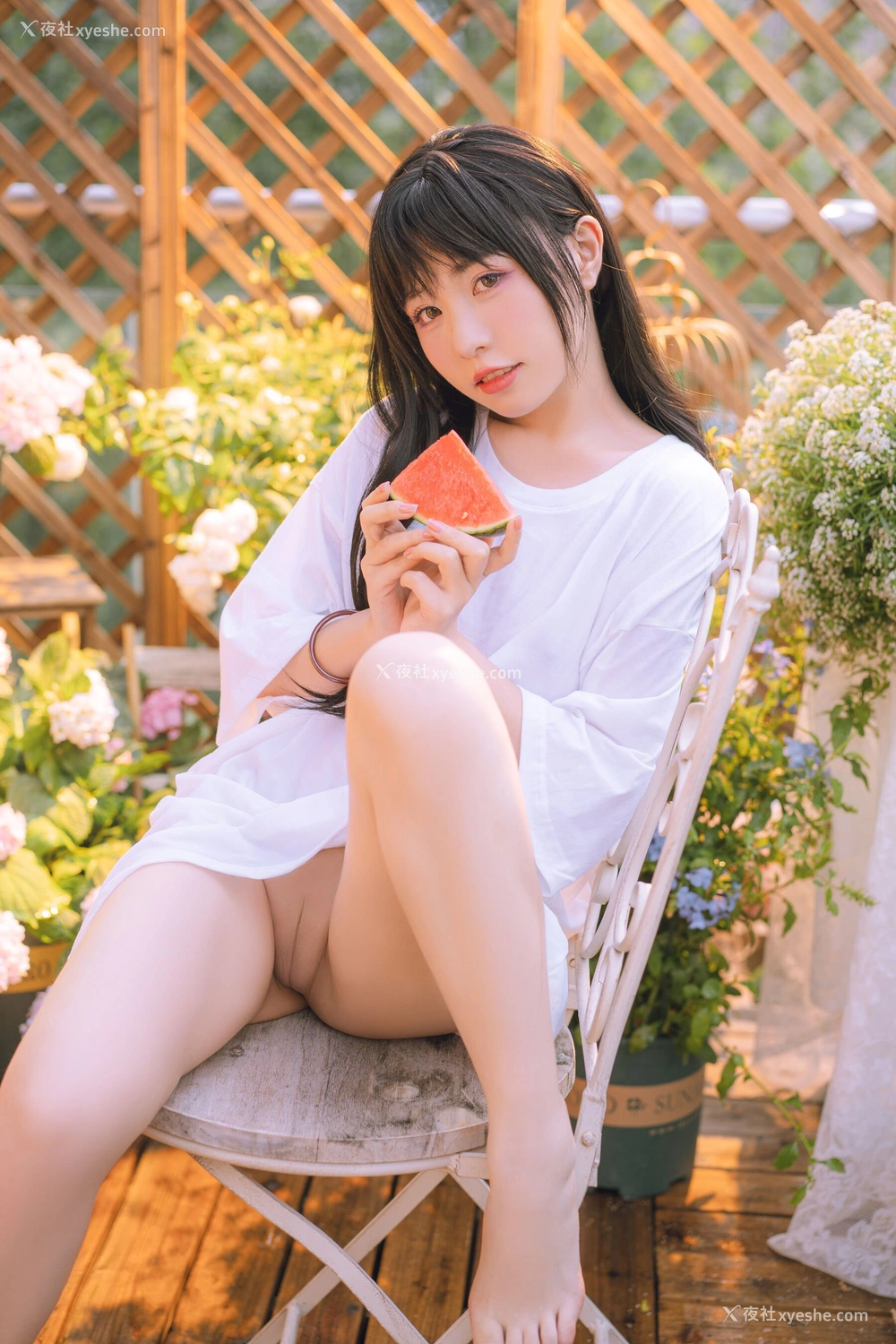 1P - 喵小吉《小吉的午后时光》