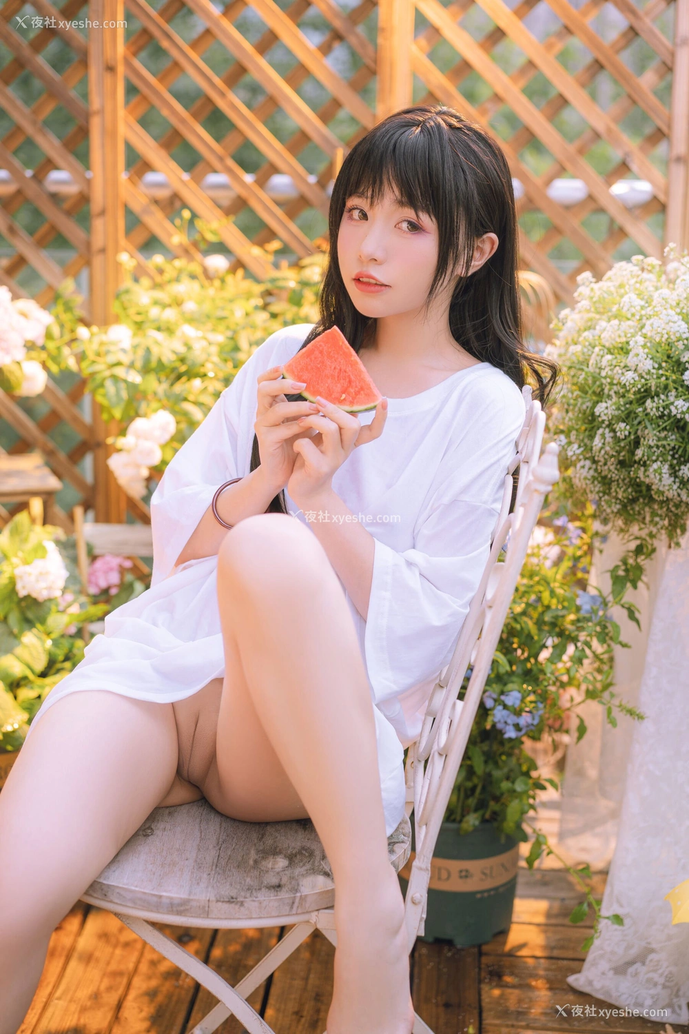1P - 喵小吉《小吉的午后时光》