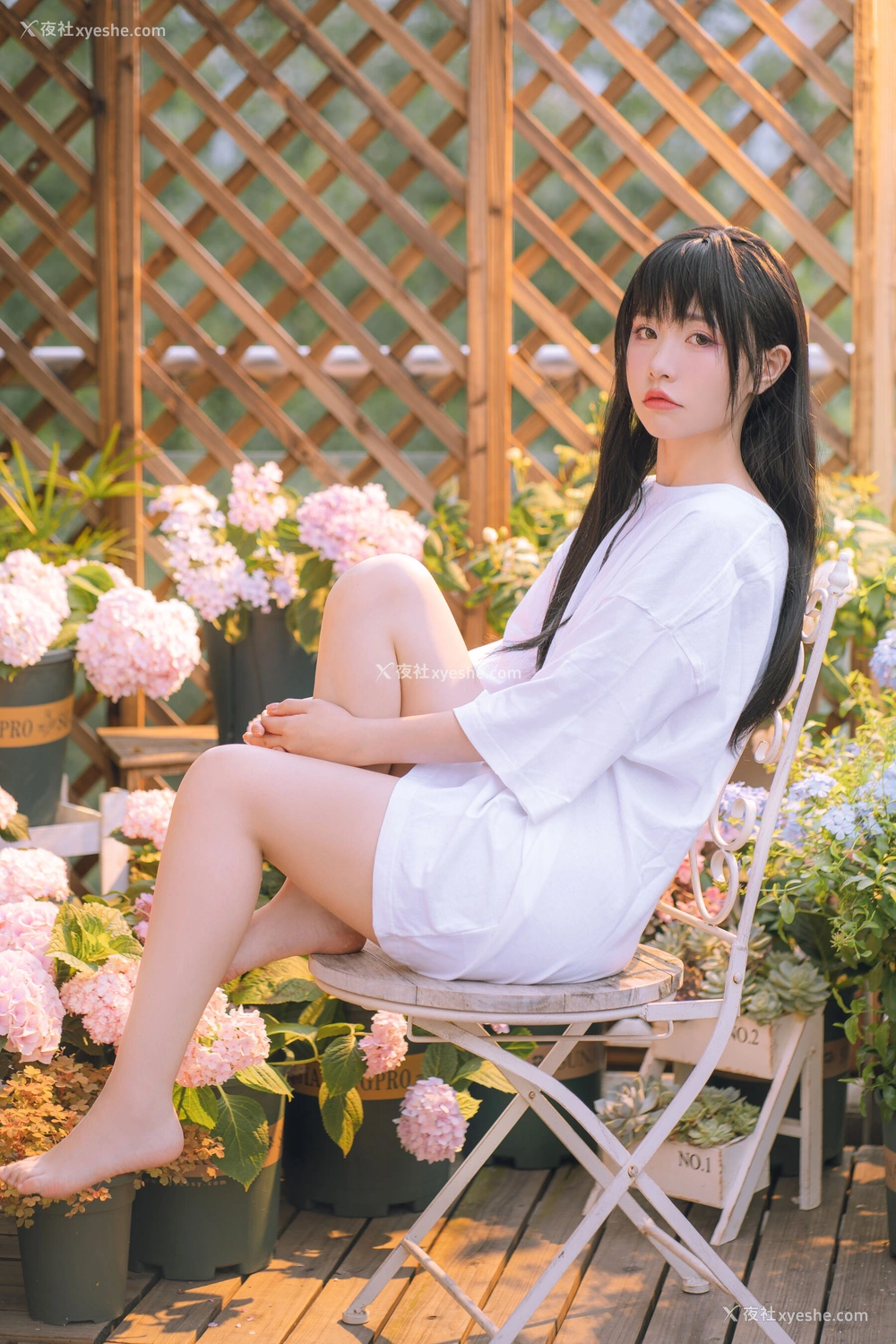 1P - 喵小吉《小吉的午后时光》