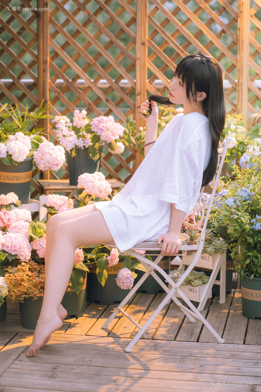 1P - 喵小吉《小吉的午后时光》