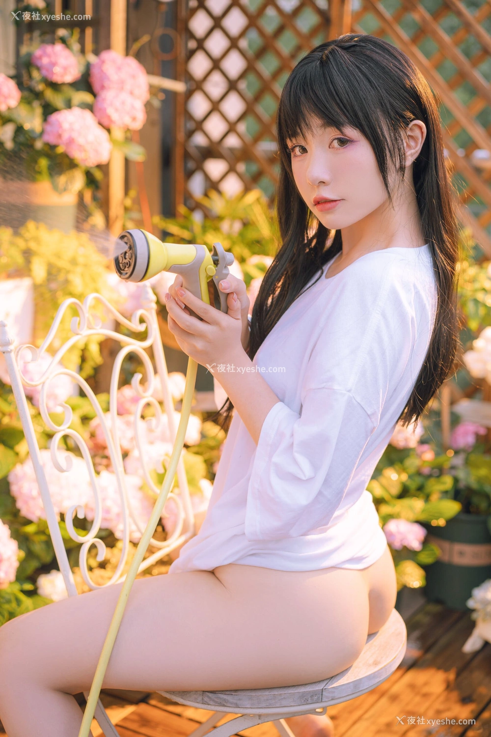 1P - 喵小吉《小吉的午后时光》