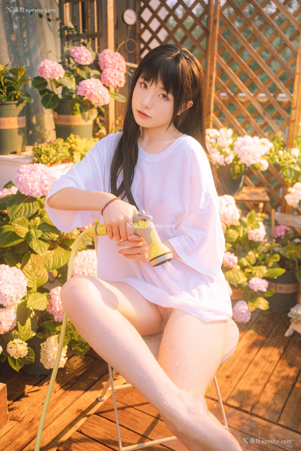1P - 喵小吉《小吉的午后时光》