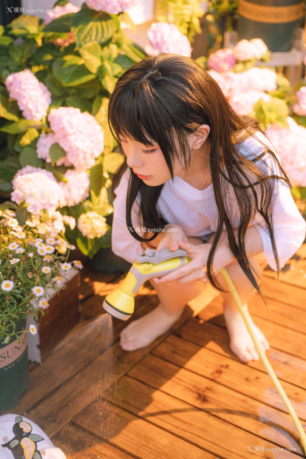 1P - 喵小吉《小吉的午后时光》