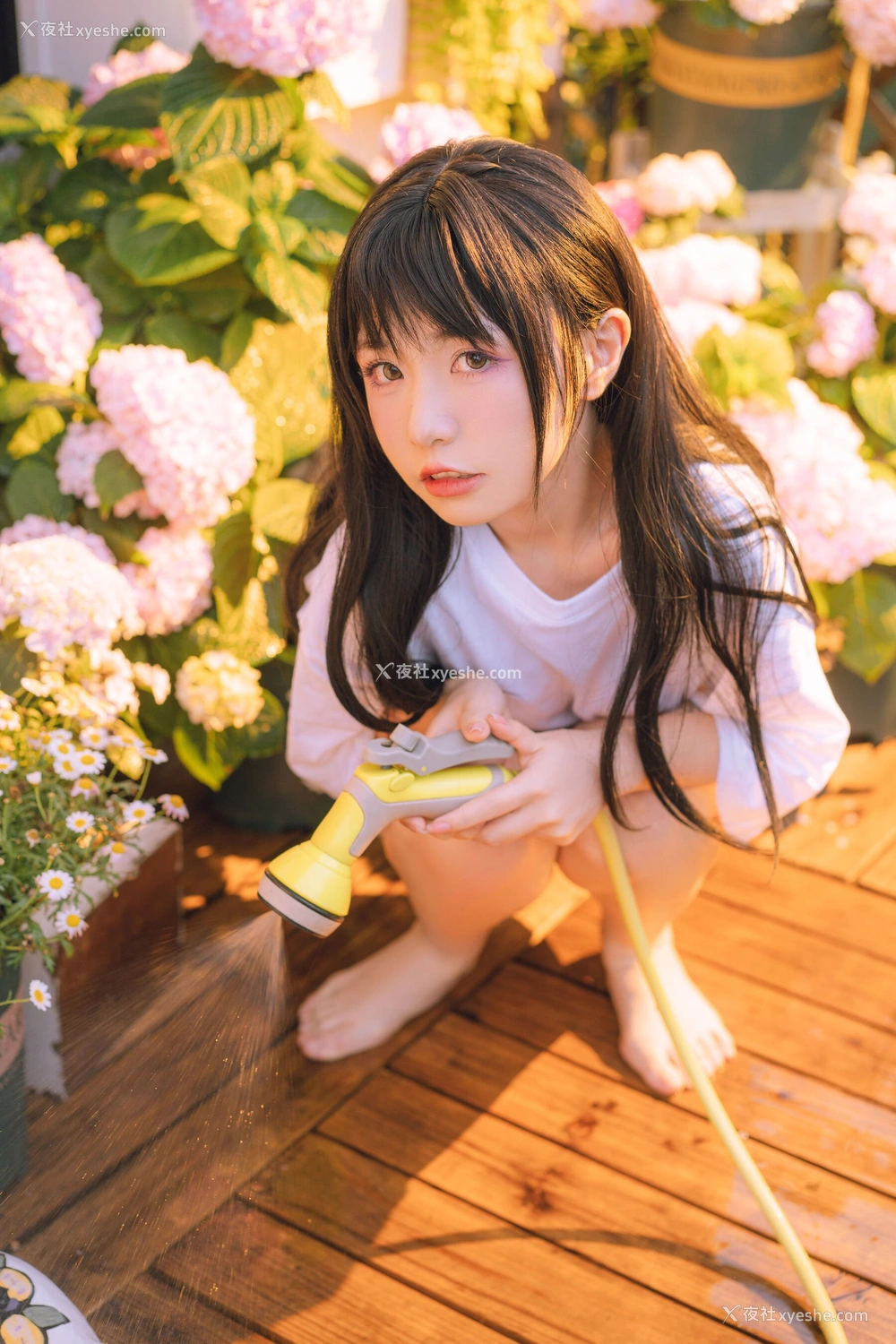 1P - 喵小吉《小吉的午后时光》