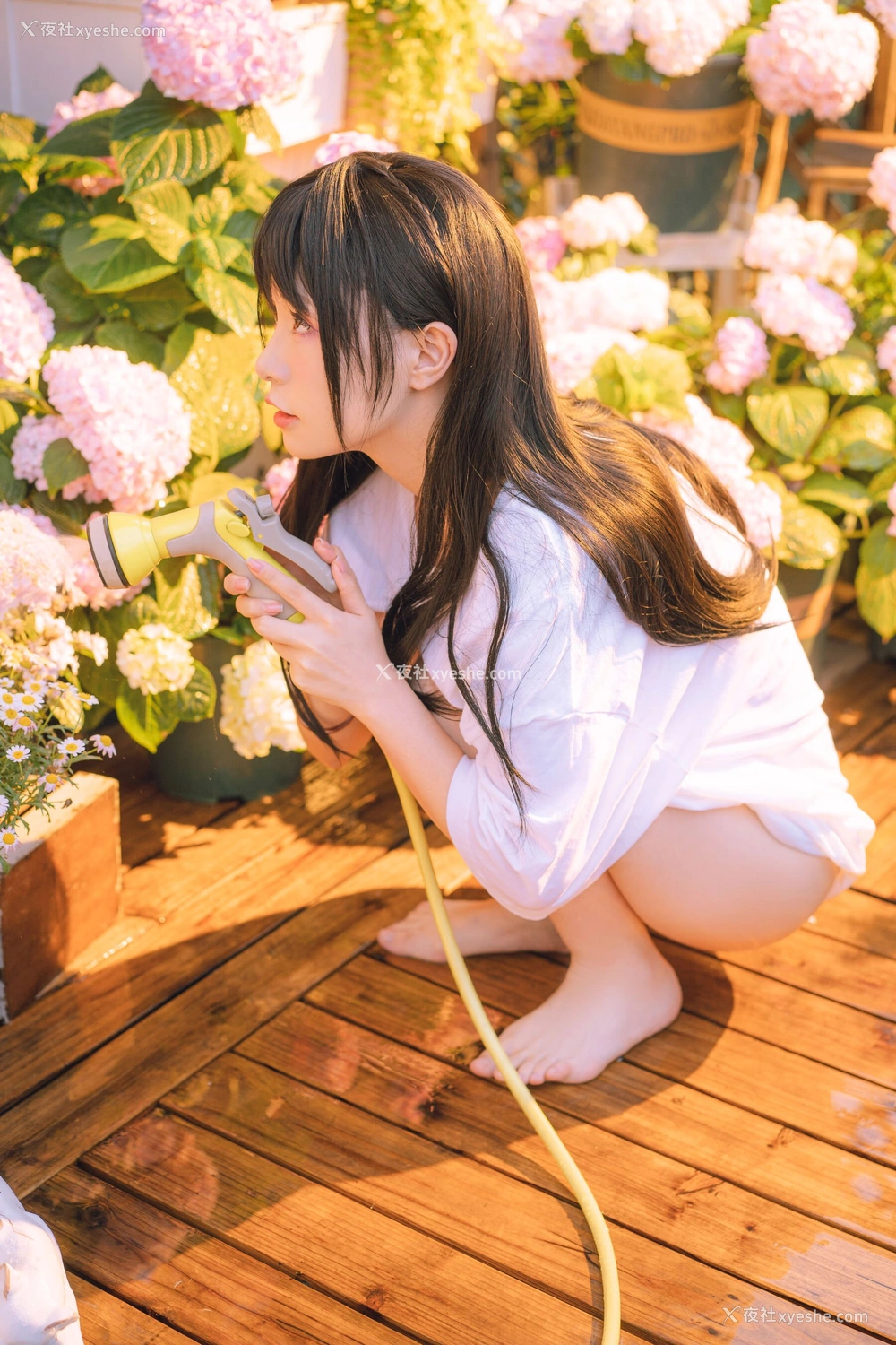 1P - 喵小吉《小吉的午后时光》