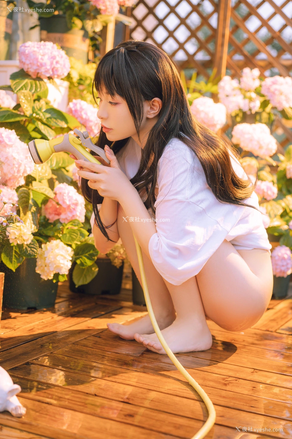 1P - 喵小吉《小吉的午后时光》