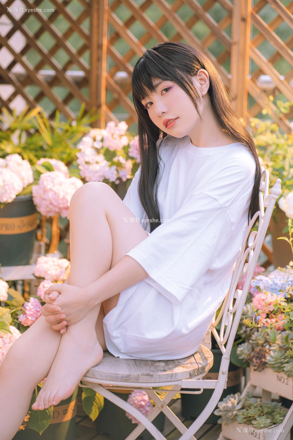 1P - 喵小吉《小吉的午后时光》
