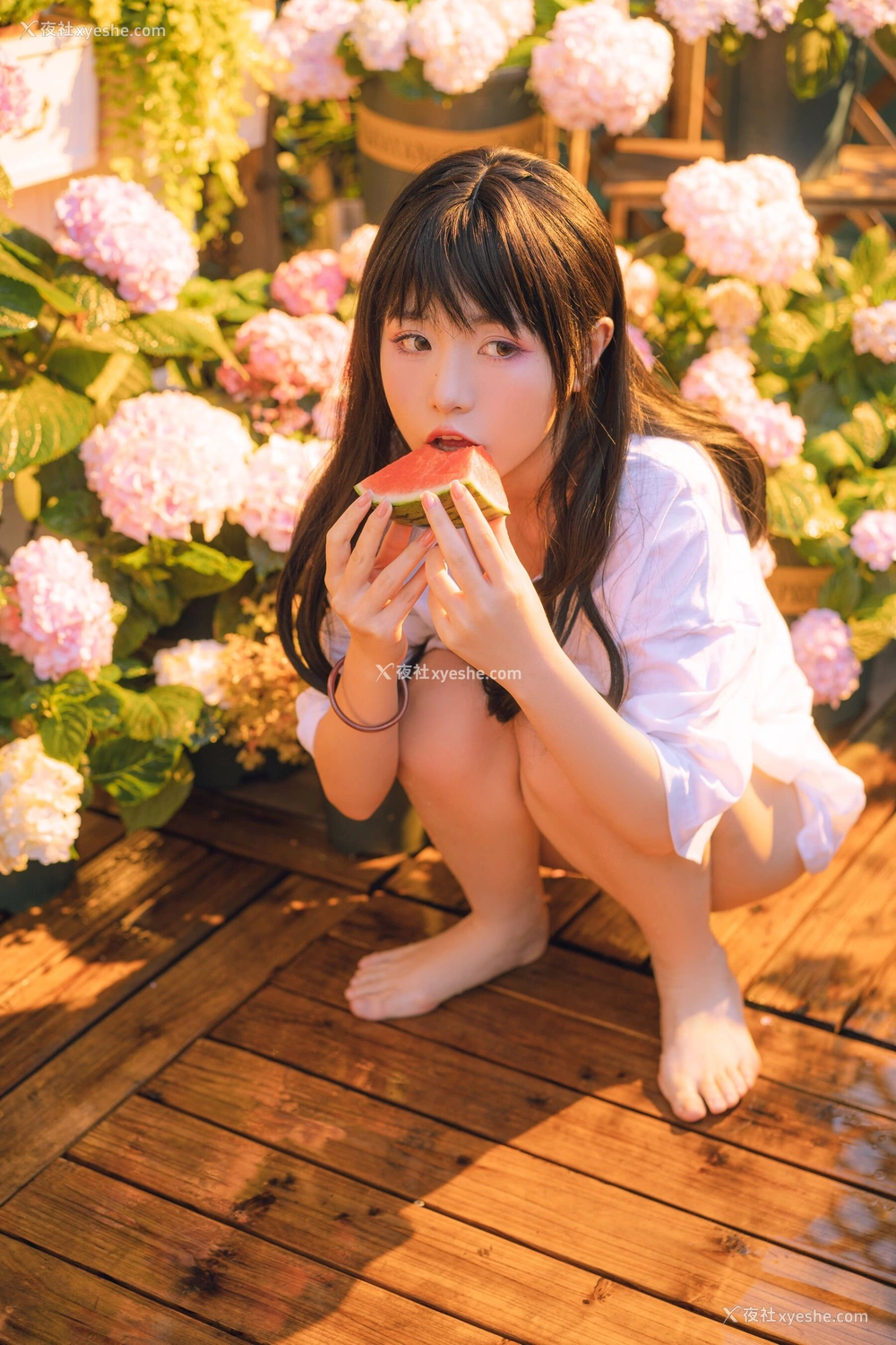 1P - 喵小吉《小吉的午后时光》