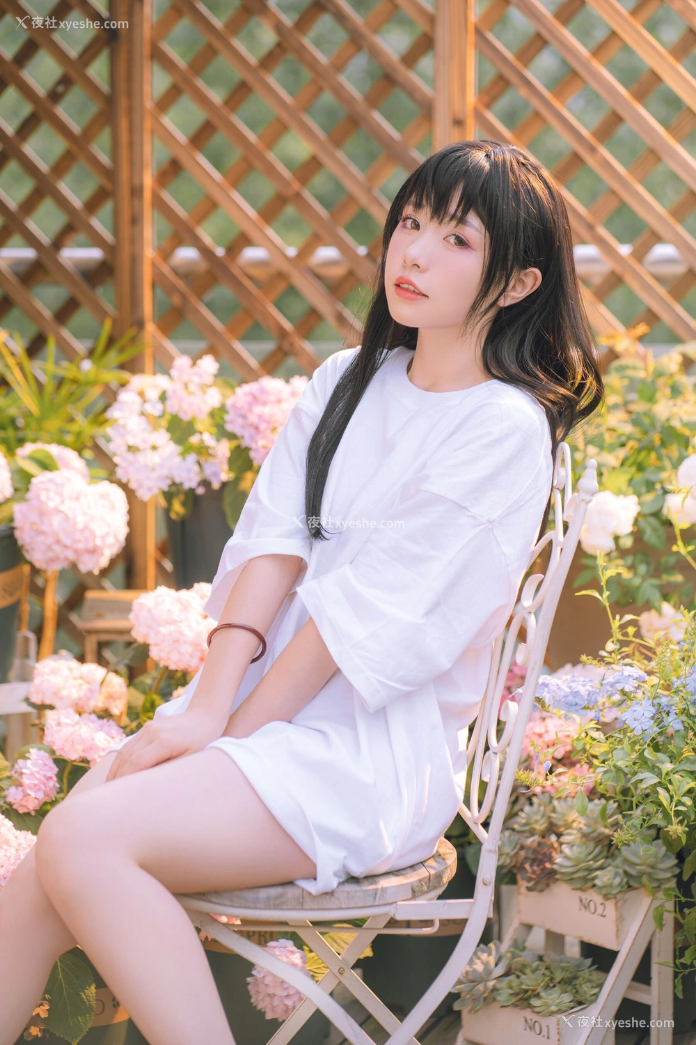 1P - 喵小吉《小吉的午后时光》