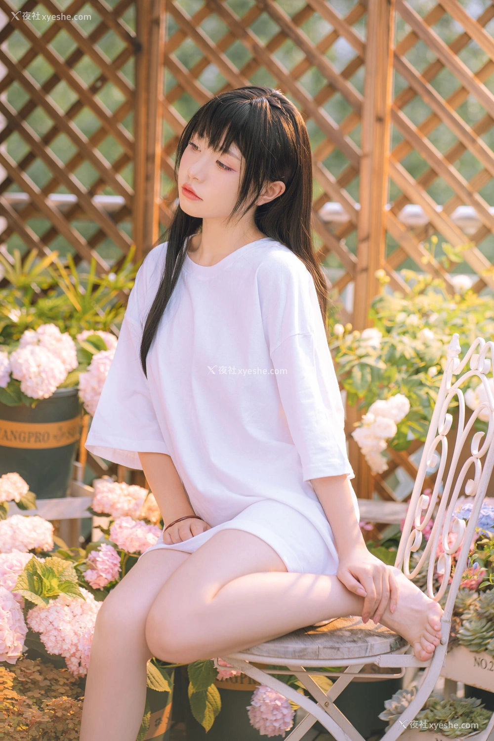 1P - 喵小吉《小吉的午后时光》