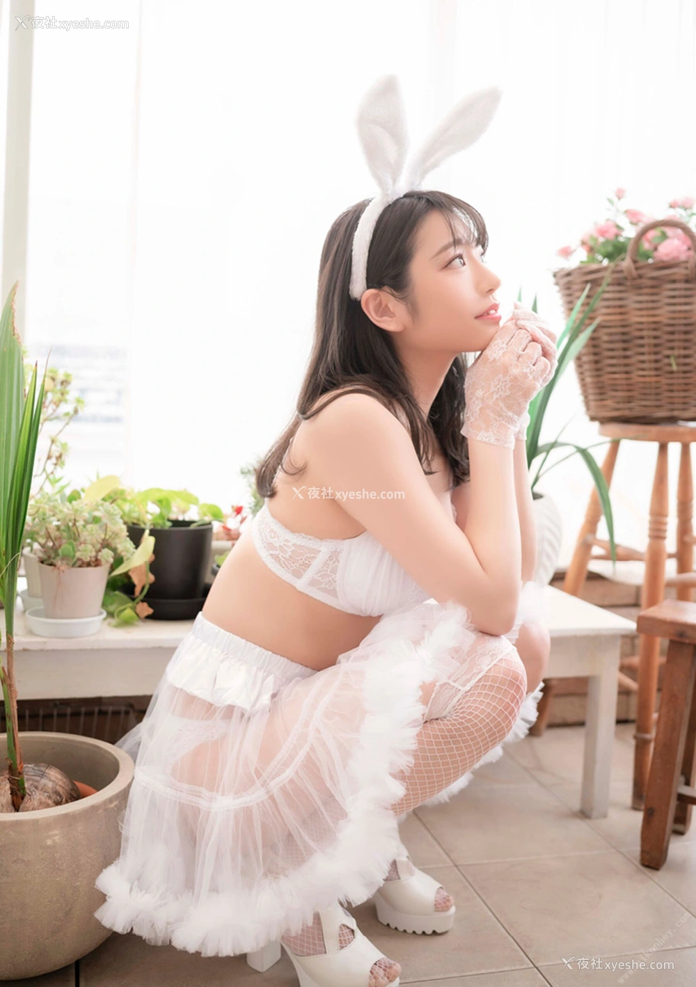 1P - 河北彩花《Count sheep》