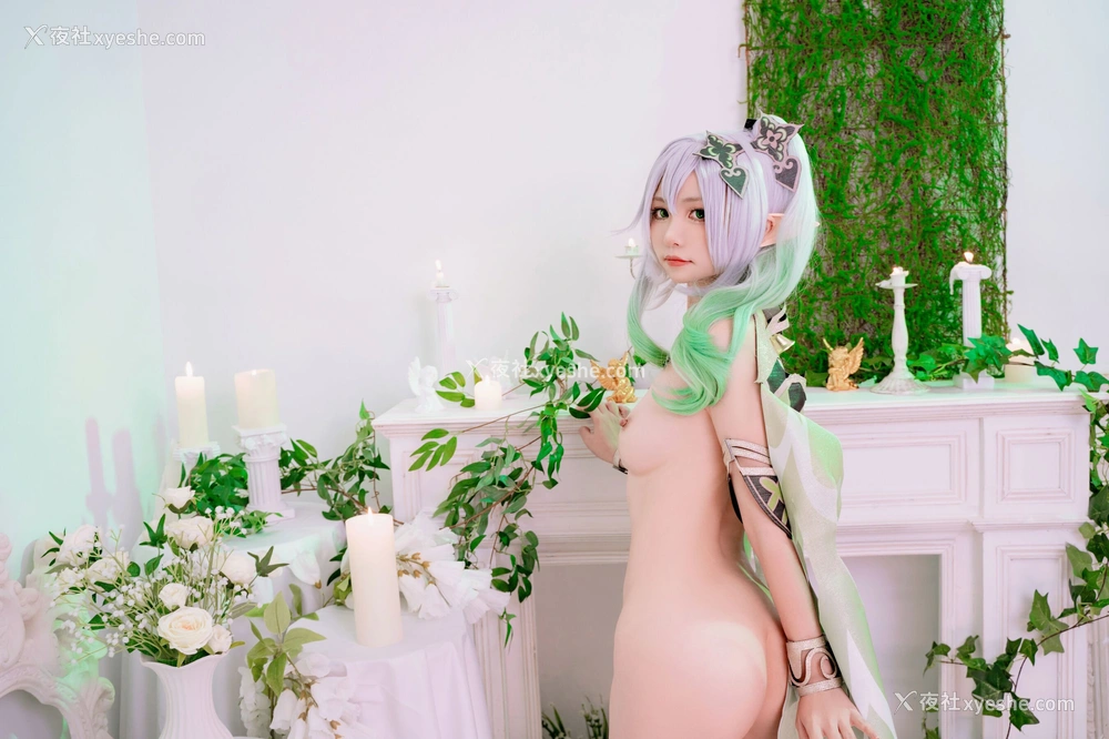1P - 喵小吉《原神·纳西妲》