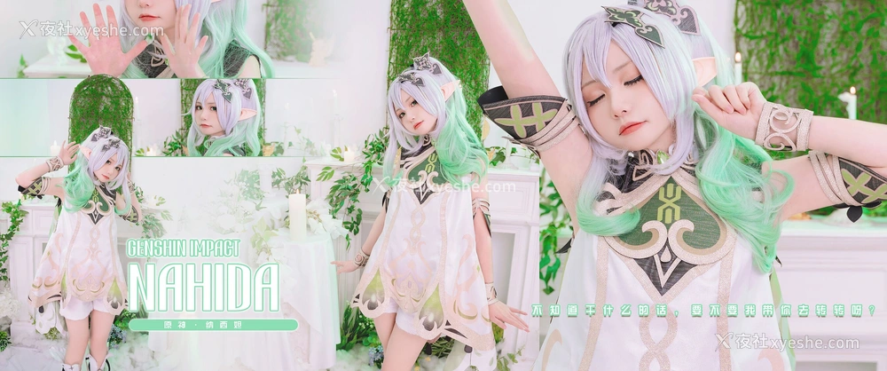 1P - 喵小吉《原神·纳西妲》