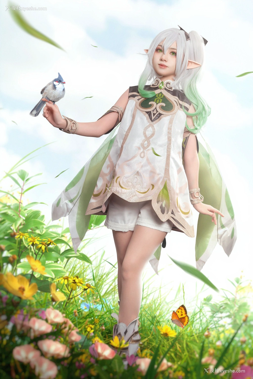 1P - 喵小吉《原神·纳西妲》