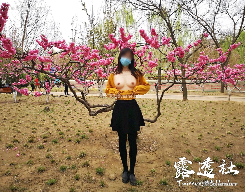 1P - 露透社合集
