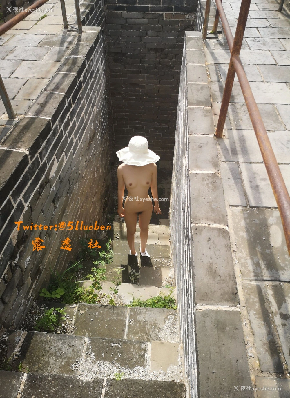 1P - 露透社合集