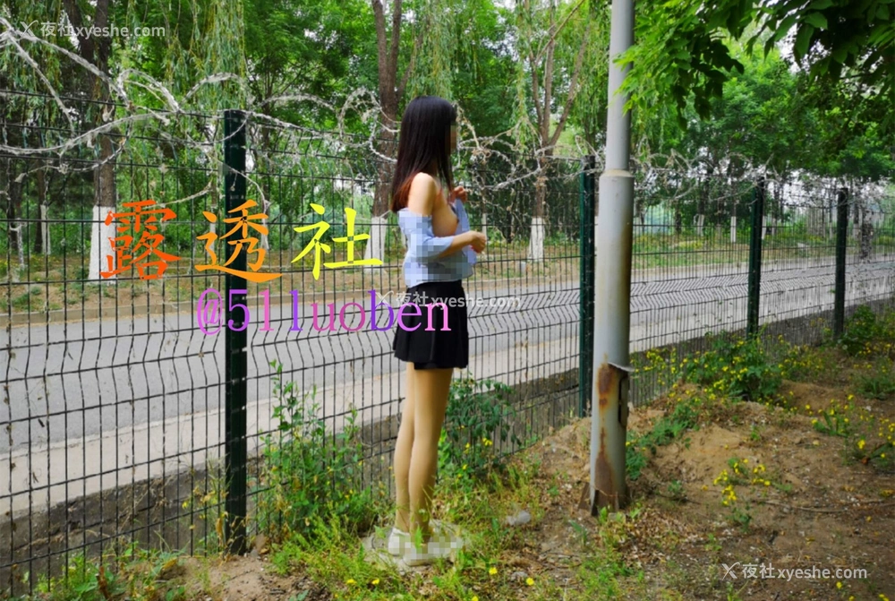 1P - 露透社合集