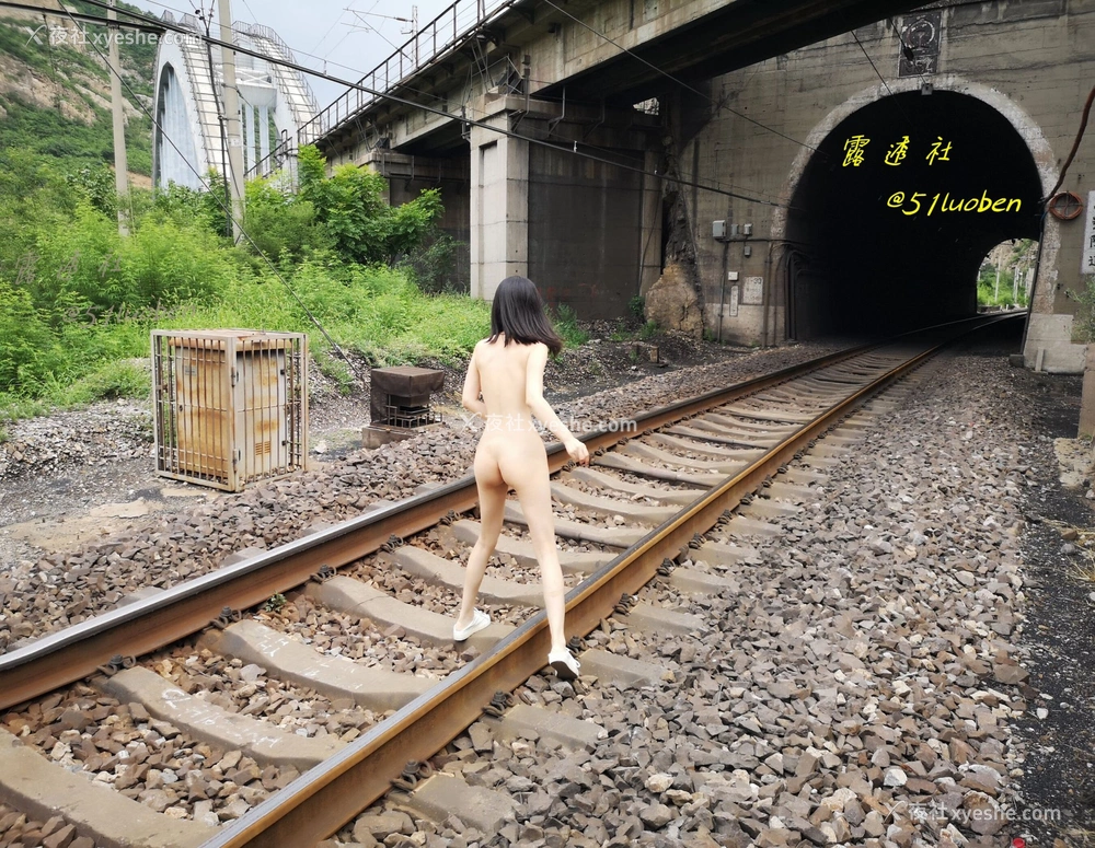 1P - 露透社合集